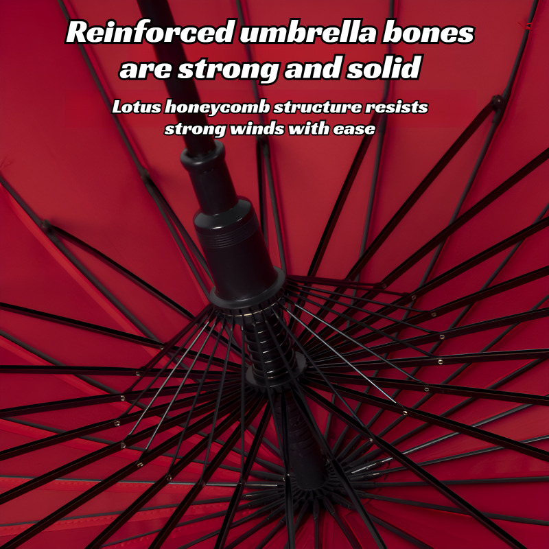 Extra grote 24-delige dubbelwa - Parasol Umbrella Large recensie en prijs